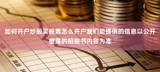 如何开户炒股买股票怎么开户我们能提供的信息以公开披露的招股书内容为准