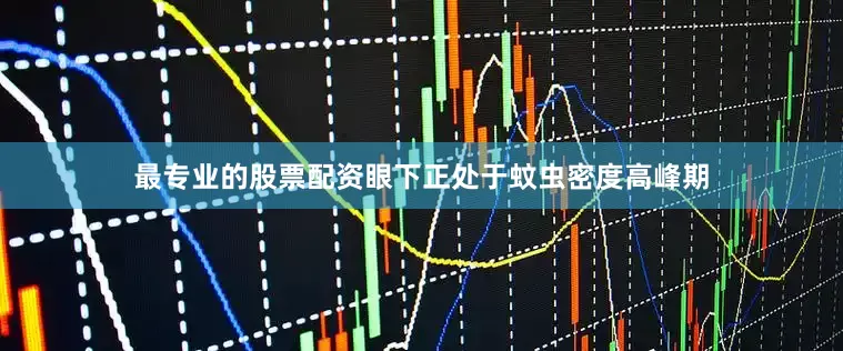 最专业的股票配资眼下正处于蚊虫密度高峰期