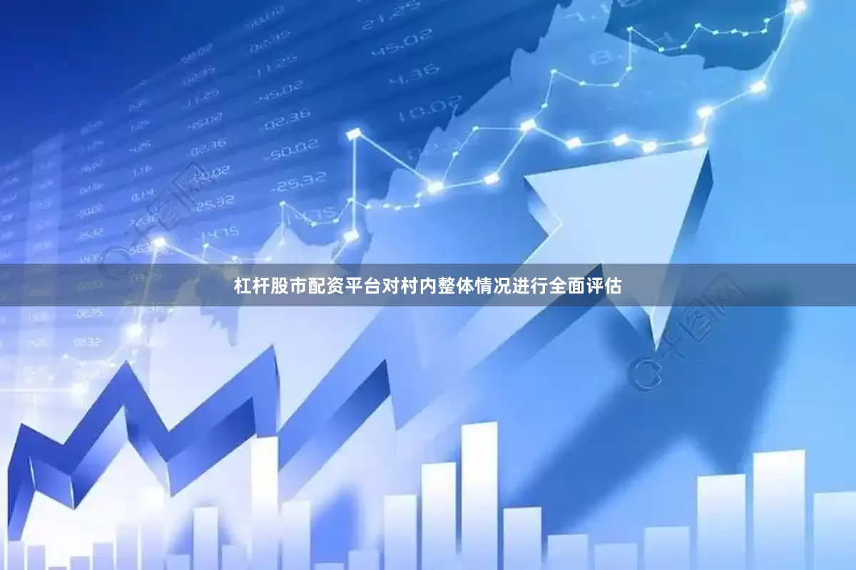 杠杆股市配资平台对村内整体情况进行全面评估
