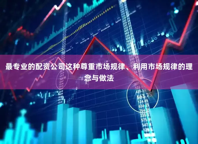 最专业的配资公司这种尊重市场规律、利用市场规律的理念与做法